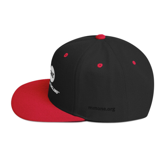 Snapback Hat - Image 18
