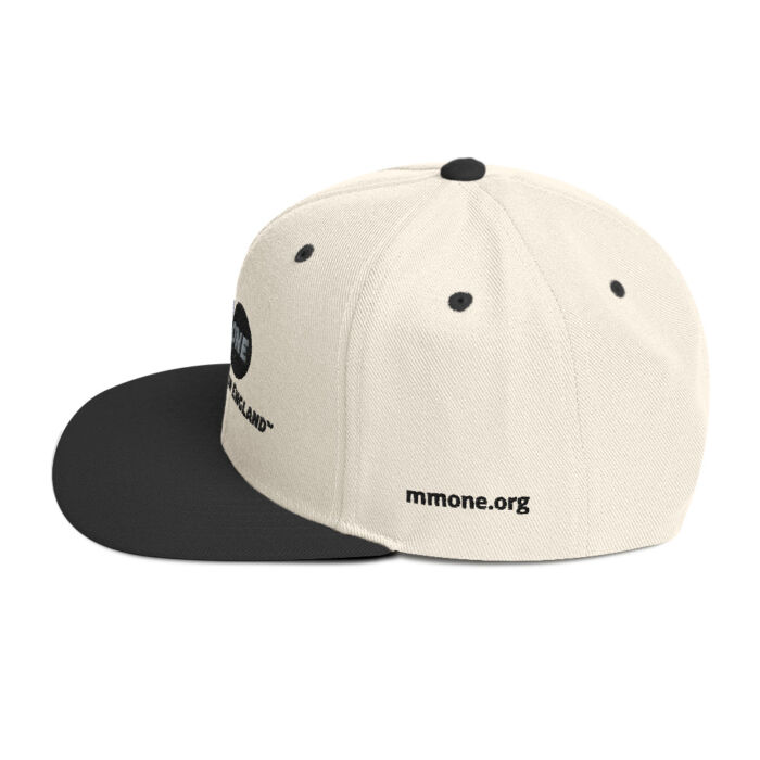 Snapback Hat - Image 12