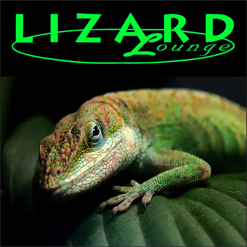 Lizard Lounge